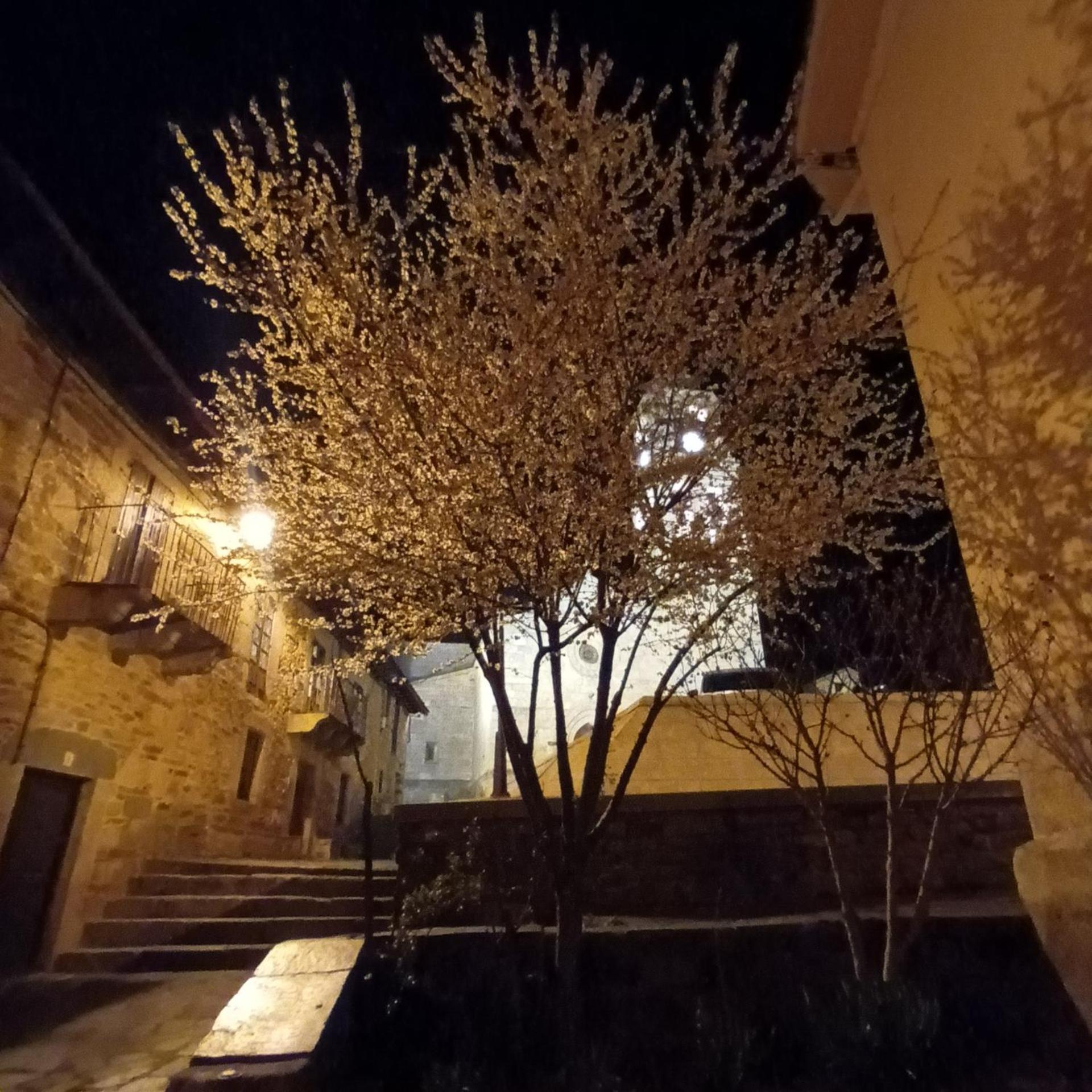 La Artesonada Casa Con Finca Villa Пуебла де Санабрия Екстериор снимка